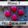 Rhino 7 13